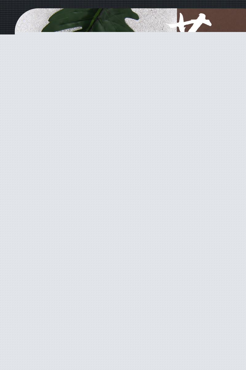 旋转定位茶水分离泡茶杯男女士家用办公高硼硅玻璃杯